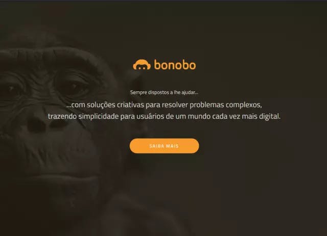 BonoboTec